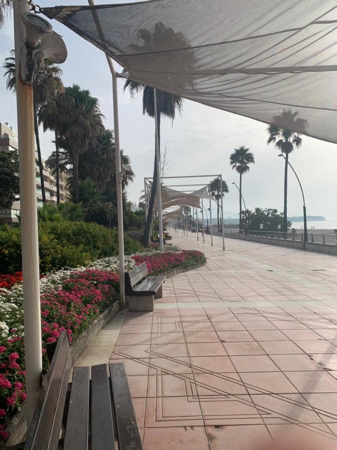 Darya إِستيبونا المظهر الخارجي الصورة